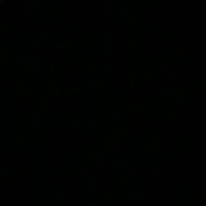 Meet your Posher, Isabella